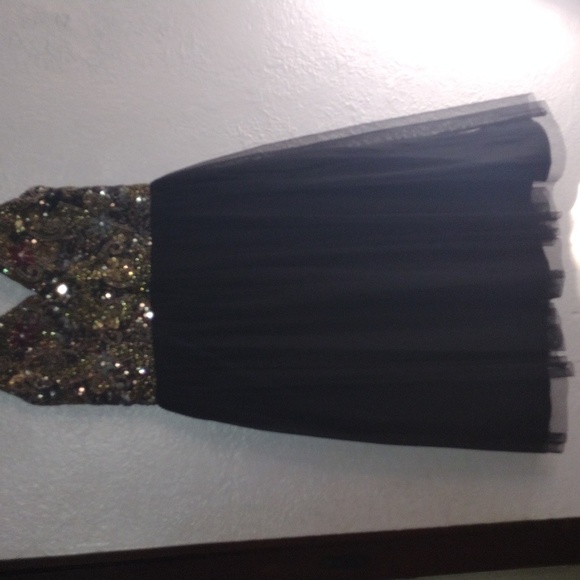 Beaded Embroidered Formal Adrianna Papell Formal Dress 4 - Picture 7 of 7